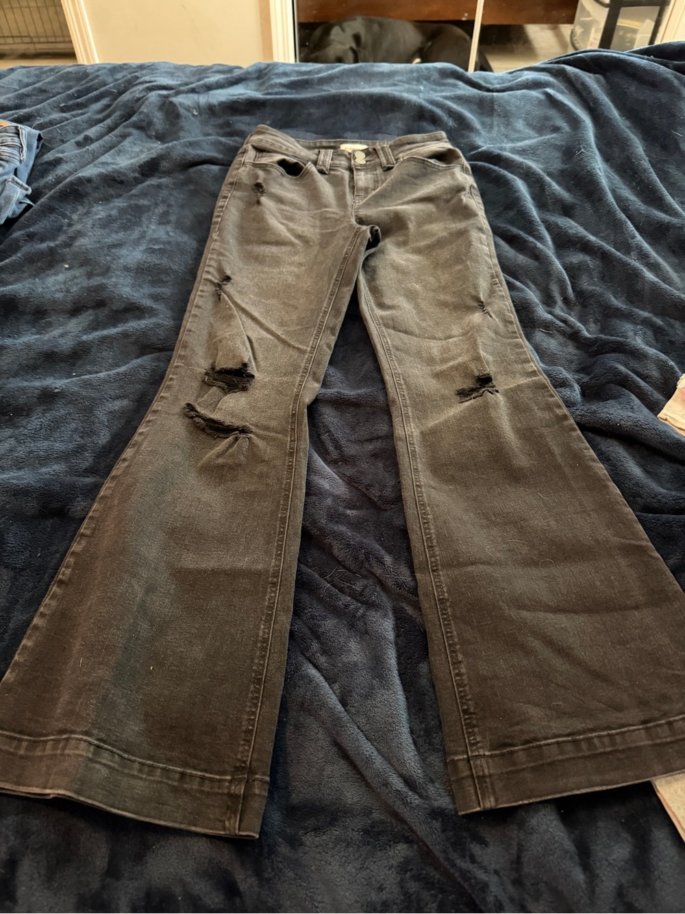 Maurices Black Distressed Flare Jeans